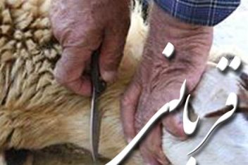 درکِ شر در مصداق قربانی